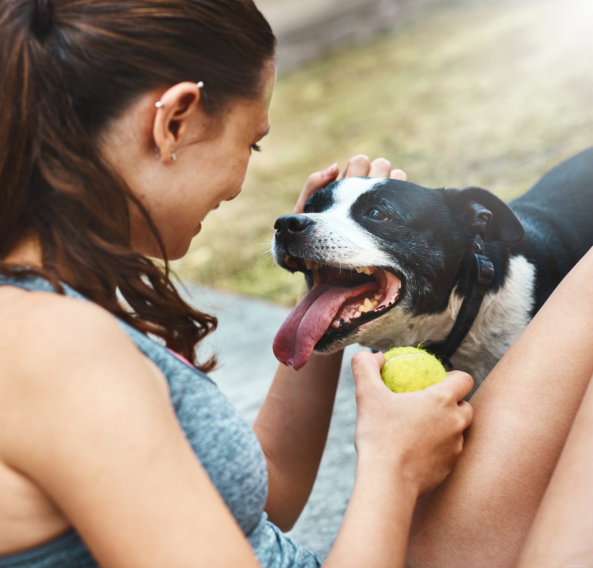 あなたの犬があまりにも多くの運動をしている5つの兆候 