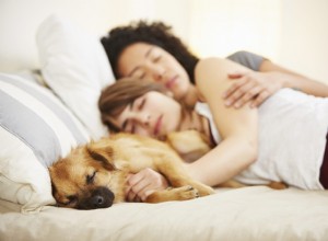 あなたとあなたのペットの両方が一緒にベッドで寝ることから利益を得る 