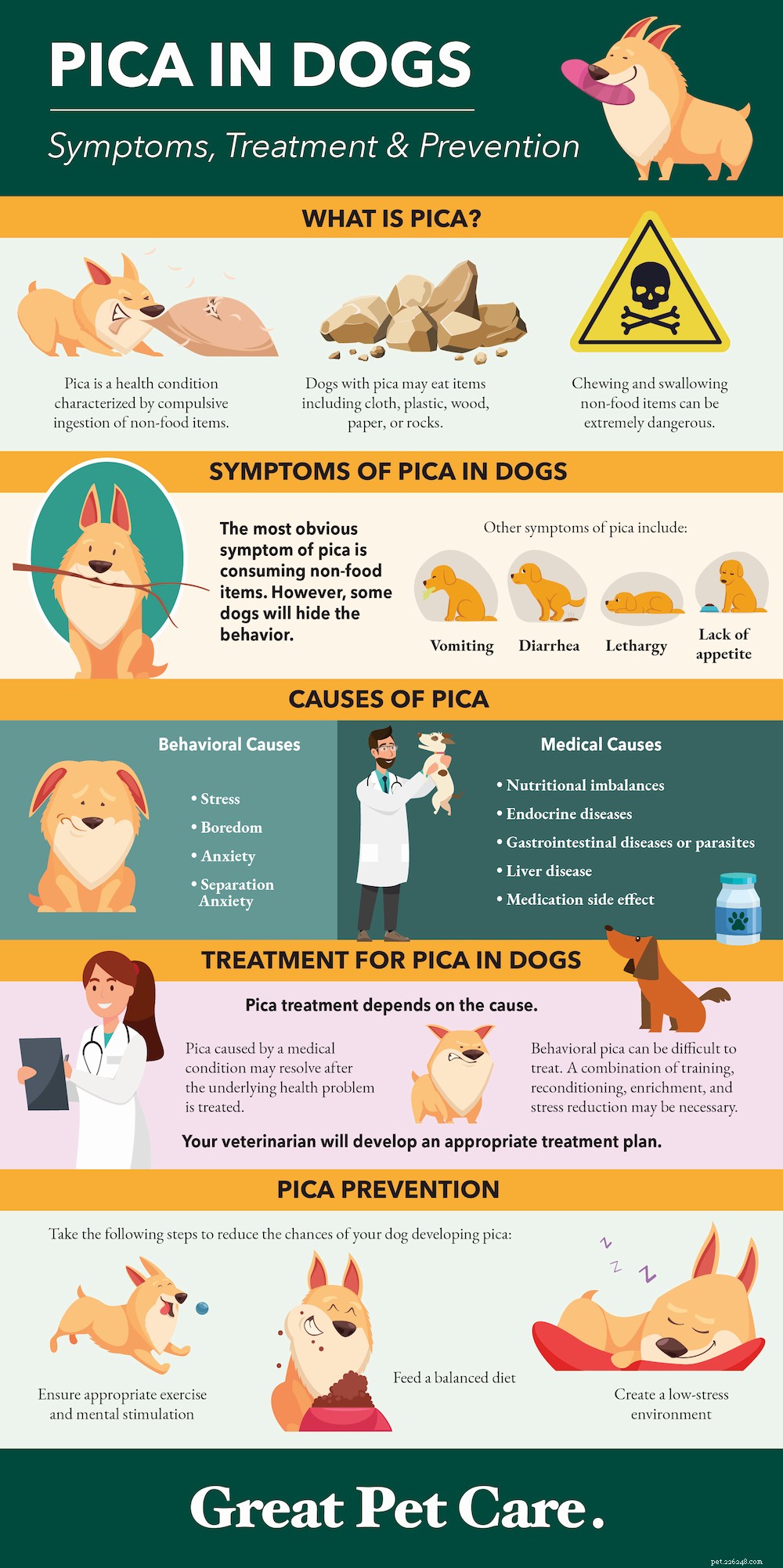 Pica in Dogs