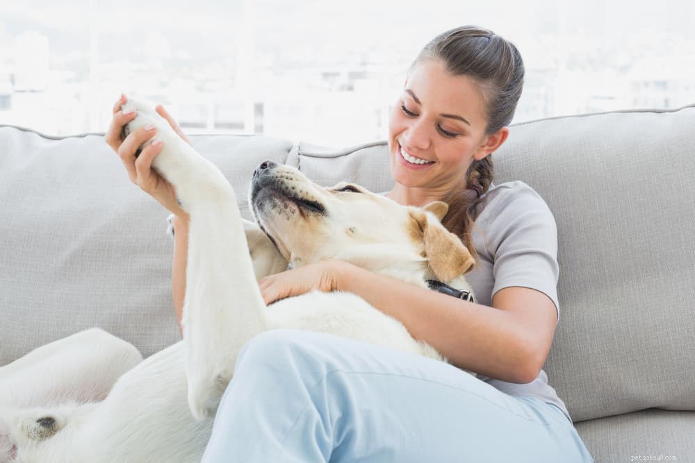 9 enkla sätt att knyta an till din hund hemma
