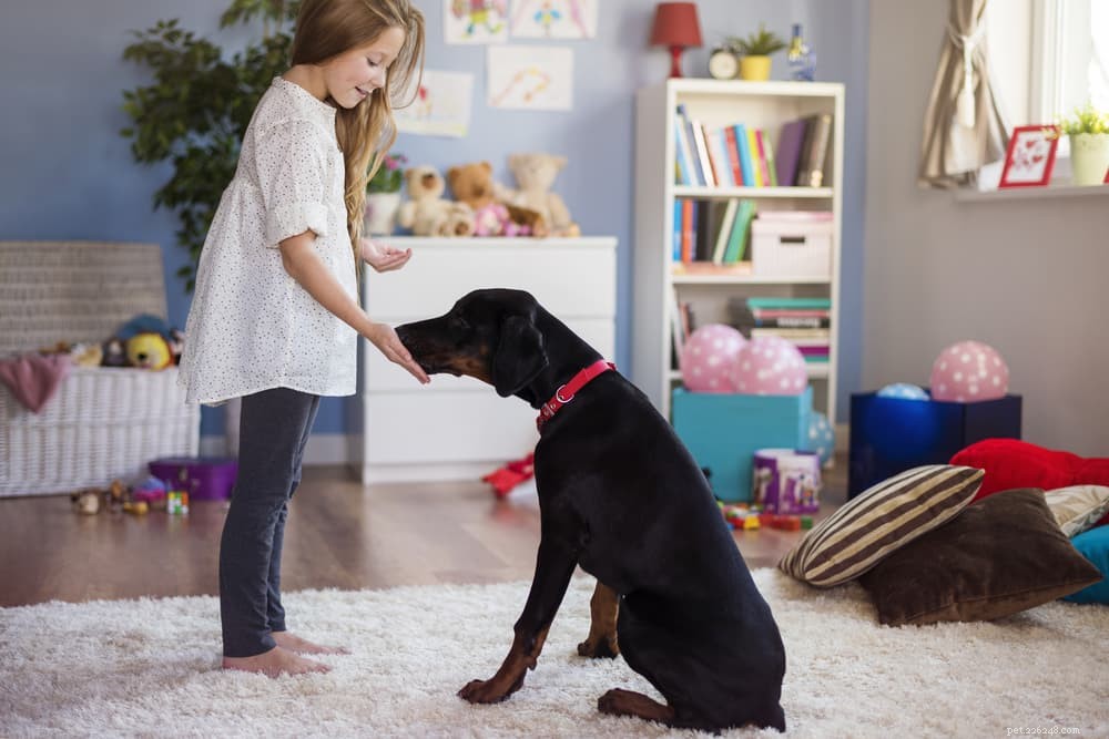 9 eenvoudige manieren om thuis een band met uw hond te krijgen