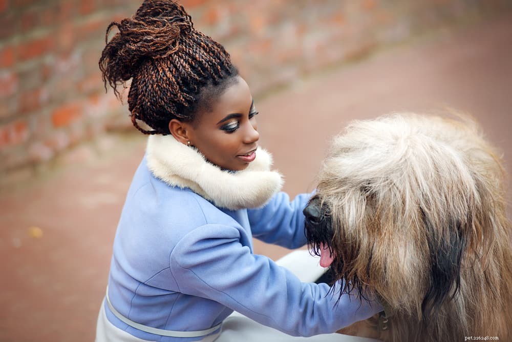 9 простых способов наладить контакт с собакой дома