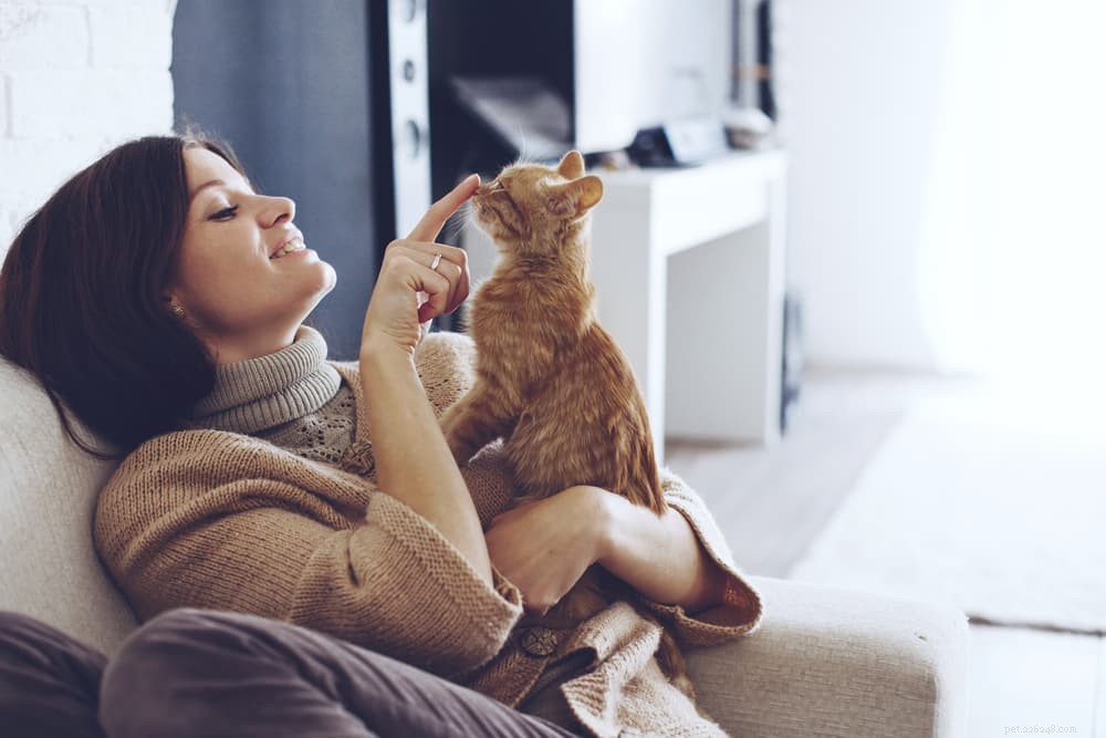 6 eenvoudige manieren om thuis een band met uw kat te krijgen
