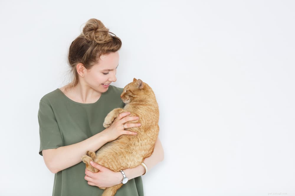 De juiste manier om een ​​kat op te pikken:een stapsgewijze handleiding