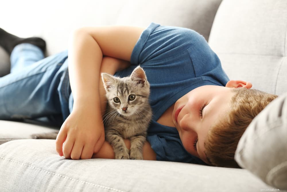 Děti a kočky:10 tipů na podporu lepení