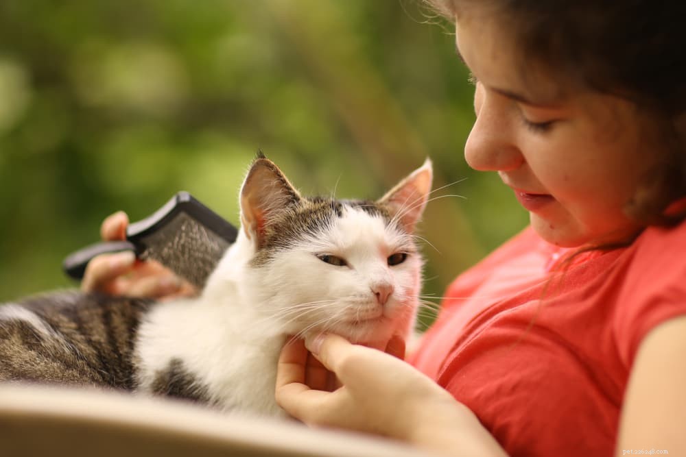Enfants et chats :10 conseils pour créer des liens