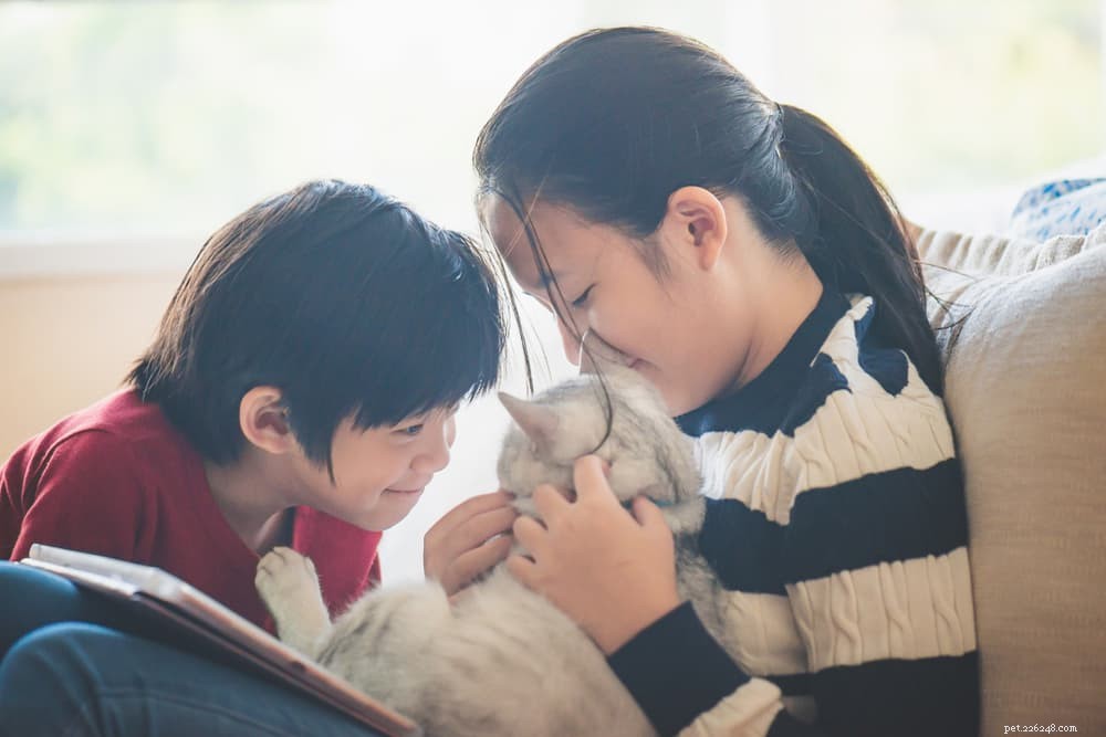 어린이와 고양이:유대감을 증진하기 위한 10가지 팁