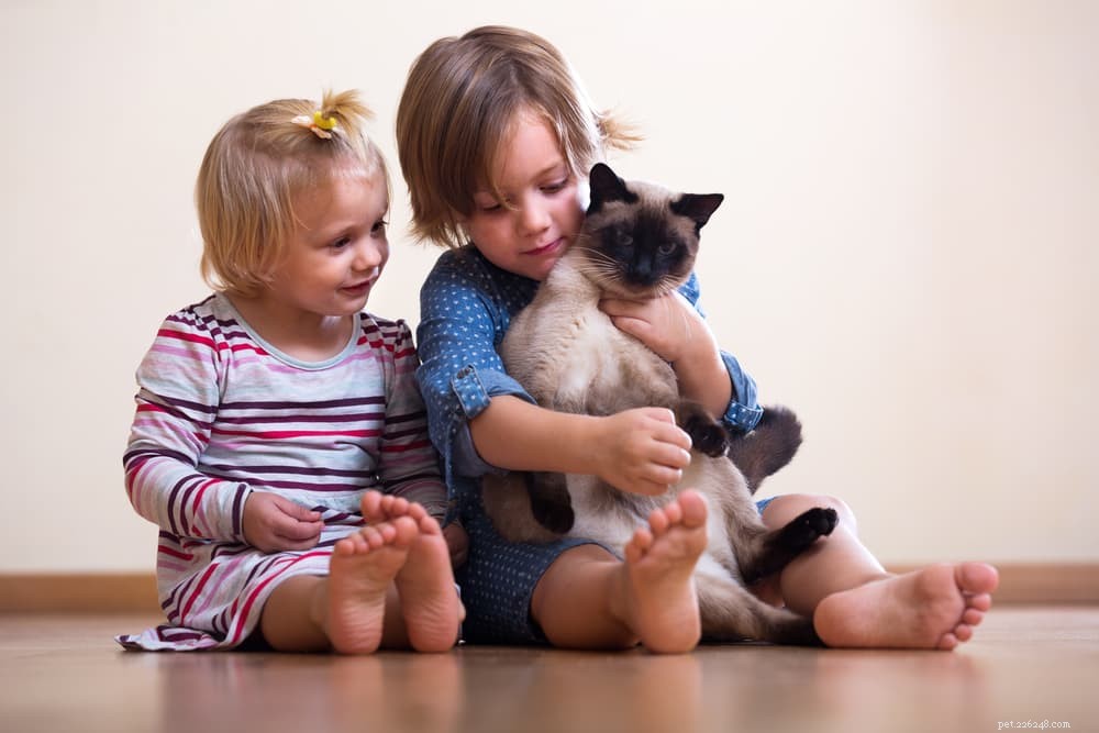 Barn och katter:10 tips för att främja bindning