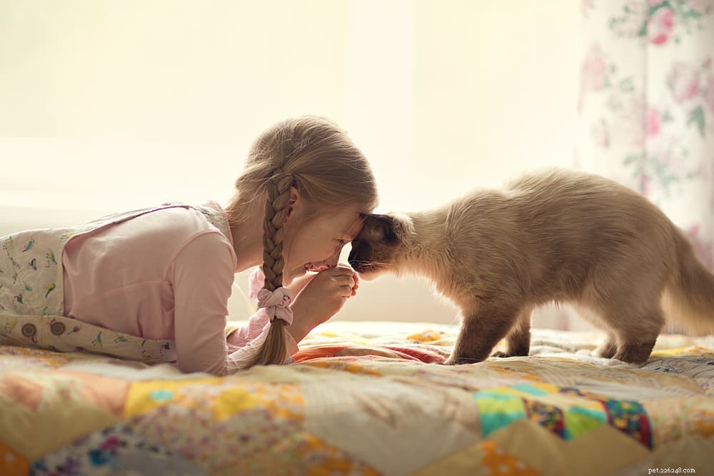 Enfants et chats :10 conseils pour créer des liens