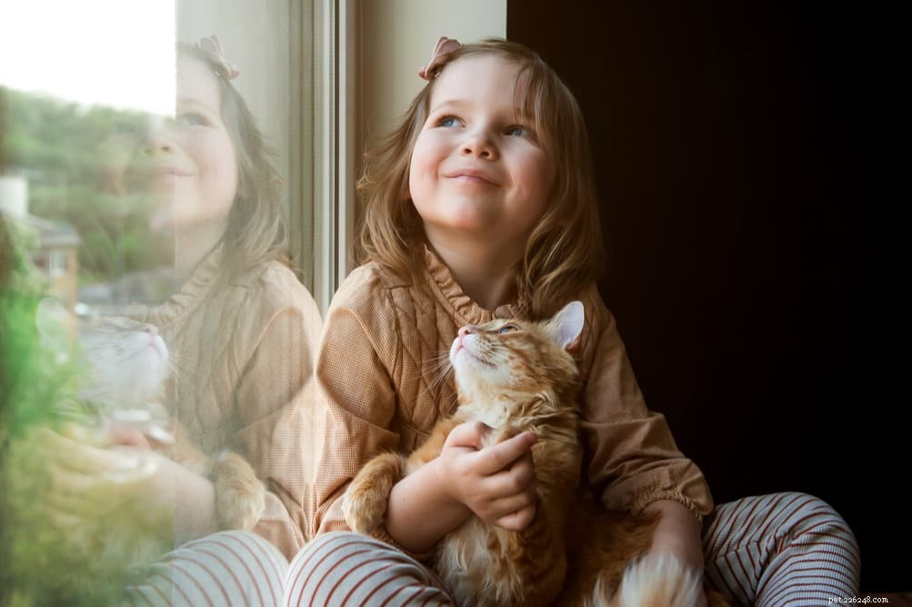 Kinderen en katten:10 tips om hechting te bevorderen