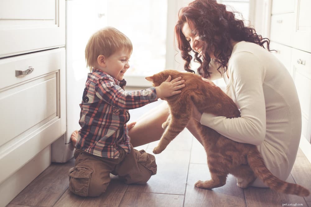 Crianças e gatos:10 dicas para promover o vínculo