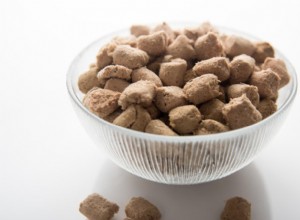 Mrazem sušené krmivo pro psy:Klady a zápory