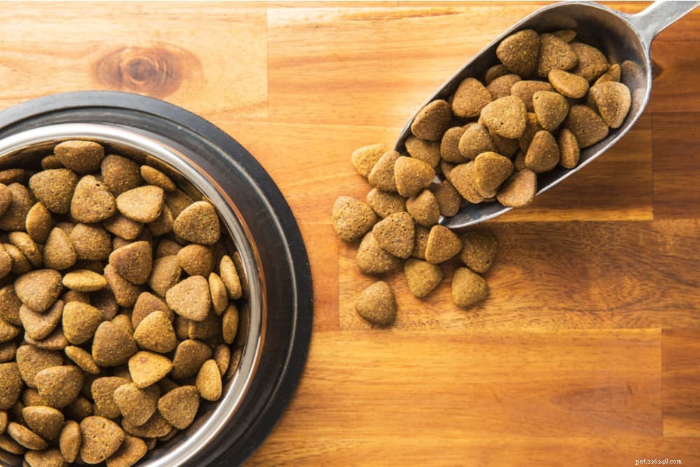 7 chyb, kterým je třeba se vyhnout při skladování krmiva pro psy