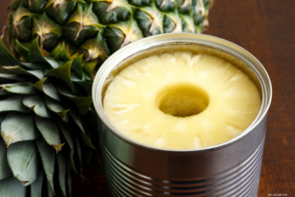 Kunnen honden ananas eten?