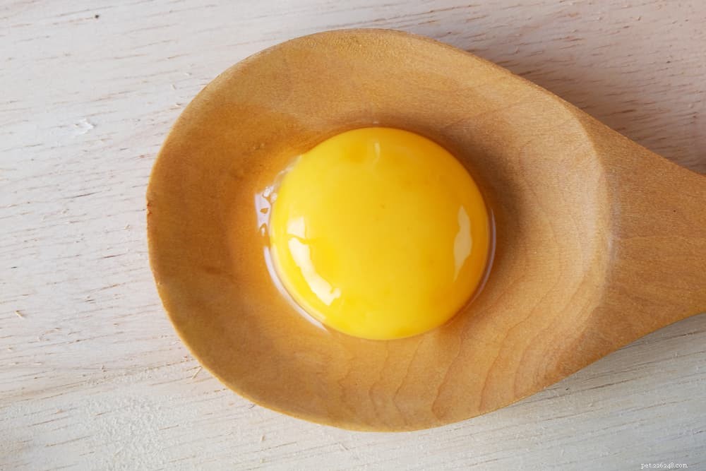 犬は卵を食べることができますか？生、調理済み、卵の殻に関する情報