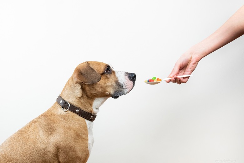 Vitaminer och mineraler som krävs i hundfoder
