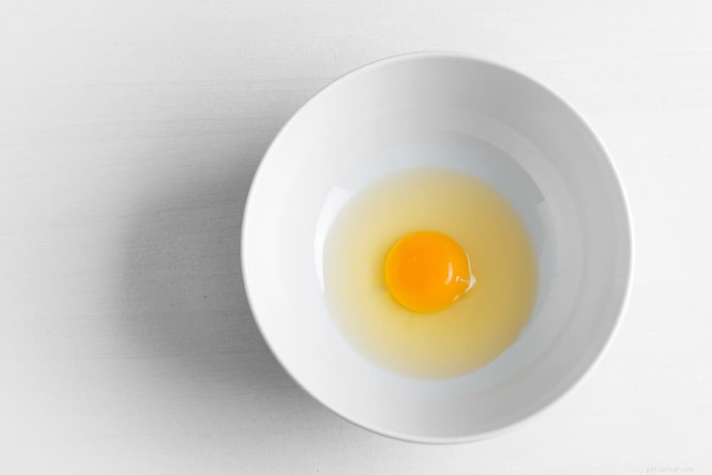 Kan katter äta ägg?