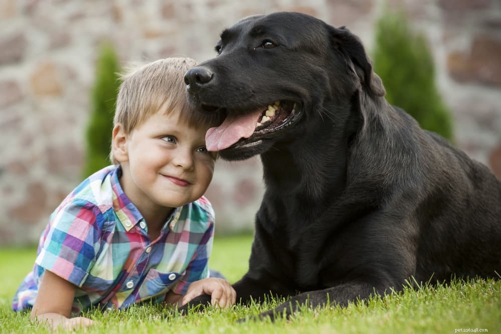 66 grote hondennamen voor groter dan levensgrote pups