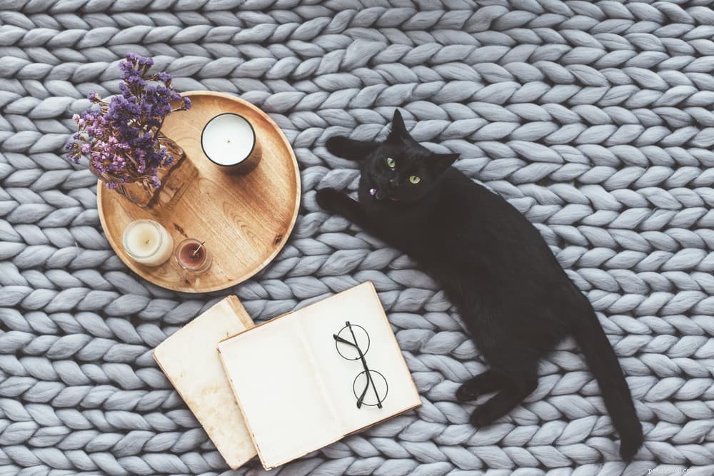 40 Witchy Cat Names for Spirited Felines