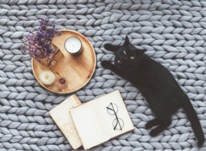 40 nomes de gatos bruxos para felinos espirituosos