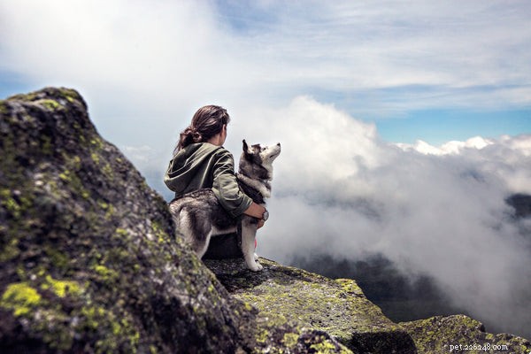 Les bienfaits des animaux de compagnie sur la santé mentale :Pourquoi posséder un chien est bon pour vous