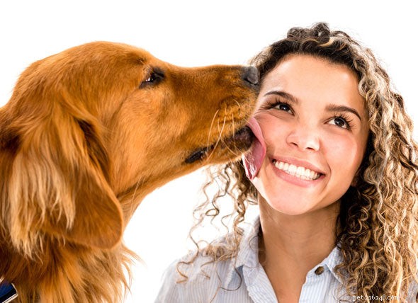 Tre enkla hundtricks du absolut bör lära ditt husdjur