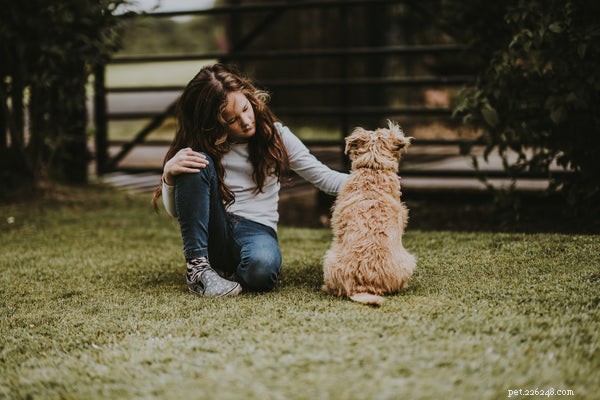 Comment caresser un chien :techniques et autres conseils importants