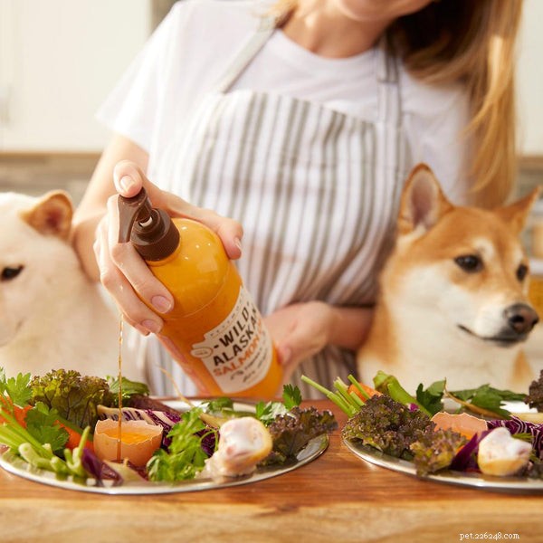 Les bienfaits de l huile de saumon pour les chiens