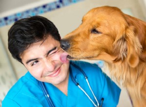 Rozvrh očkování psů:Co potřebujete vědět