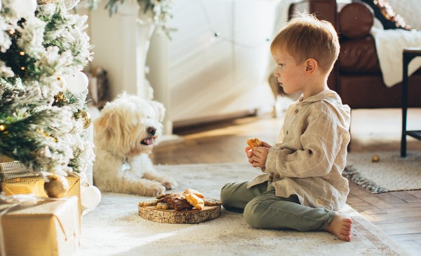 Nourriture saine pour chien :savoir si la nourriture que vous donnez à votre chiot est la meilleure