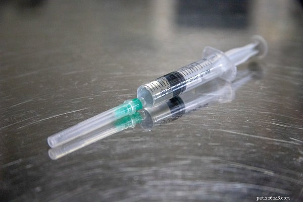 Vše, co potřebujete vědět o očkování domácích zvířat