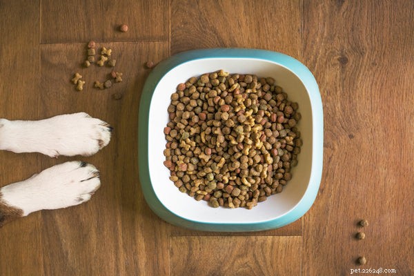 Recettes de nourriture maison pour chiens :approuvées par les vétérinaires