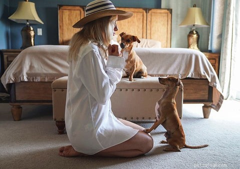 12 tipů, jak pomoci psovi s úzkostí z odloučení