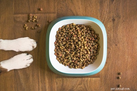 De top 11 meest voorkomende voedselallergenen voor honden