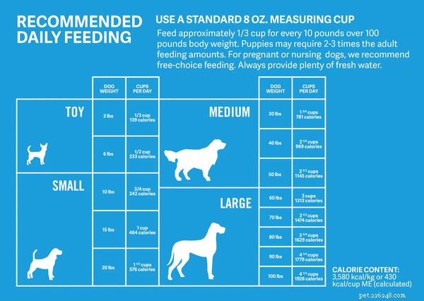 5 méthodes éprouvées pour savoir si votre chien est en surpoids et des solutions simples approuvées par les vétérinaires