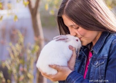 토끼는 인간의 감정을 감지할 수 있습니까?