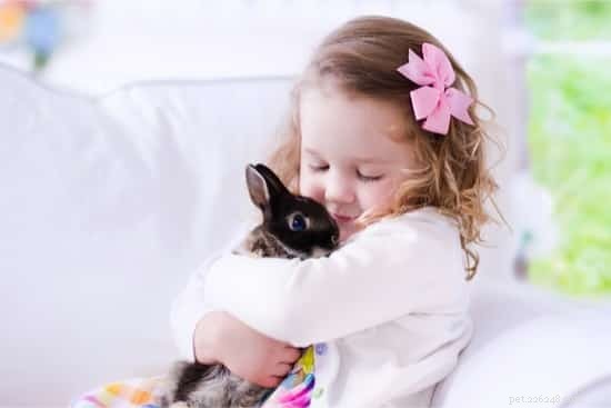 Un coniglio è un buon animale domestico per un bambino?