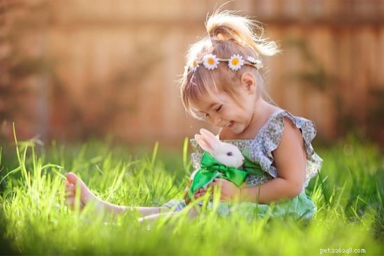 Je králík dobrým mazlíčkem pro dítě?