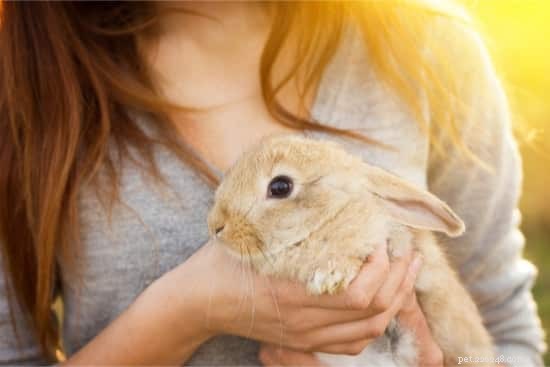 Perché al mio coniglio non piace essere trattenuto?
