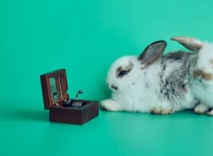 Нравится ли кроликам слушать музыку?