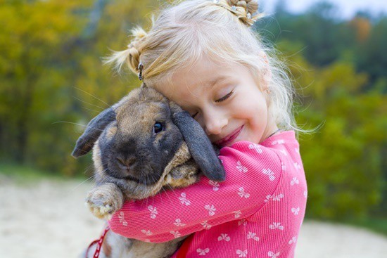 Hoe tonen konijnen genegenheid?