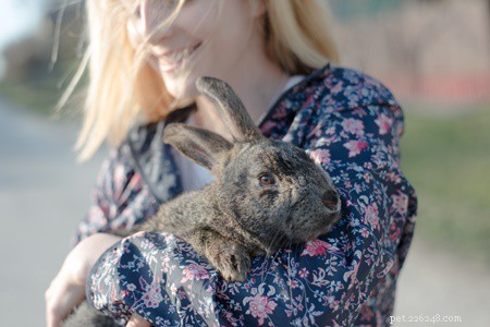 Zijn konijnen aandachtzoekers?