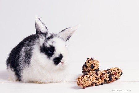 Můžou králíci jíst suché cereálie? (kukuřičné vločky, granola, ovesné vločky a otrubové vločky)