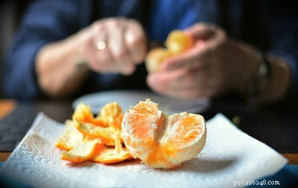 Coelhos podem comer laranjas?
