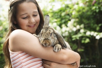Waar worden konijnen het liefst geaaid?