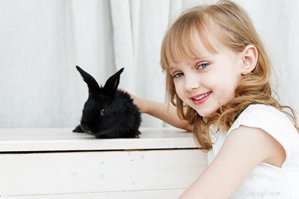 Quanto tempo dovresti passare con il tuo coniglio?