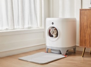 Modern Cat s 2020 Holiday Gift Guide