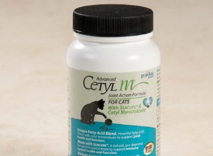 Formula di azione congiunta avanzata Cetyl M per gatti