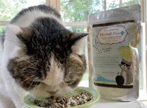 Cocotherapy Natural Hairball Support
