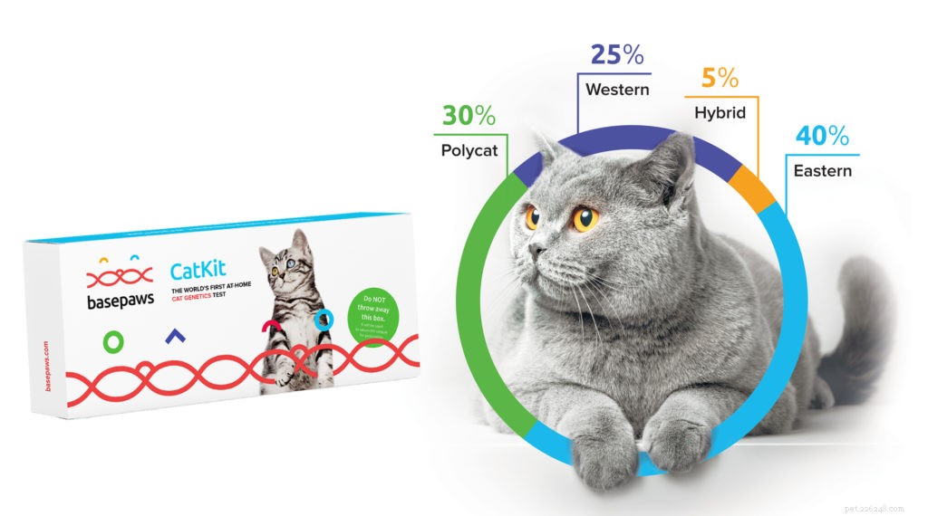 Kit de test ADN pour chats
